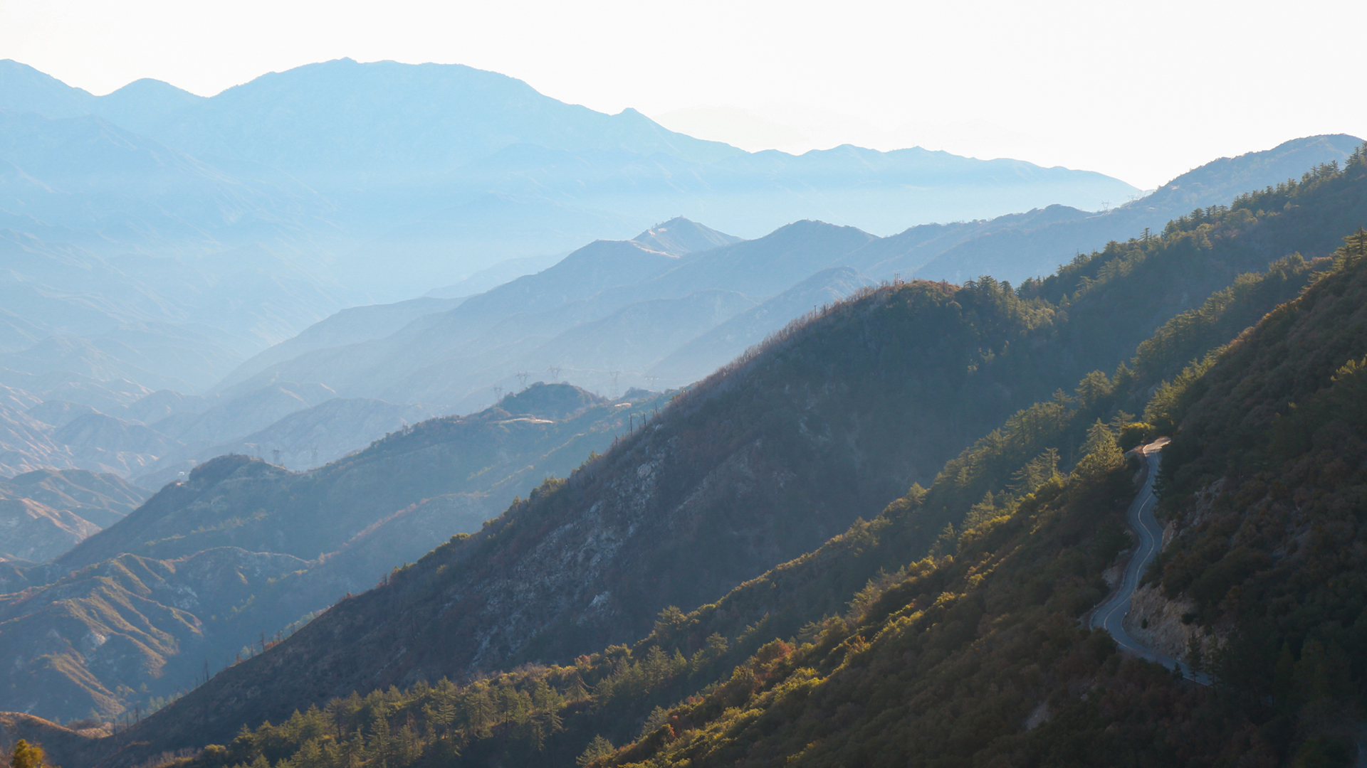 Angeles National Forest