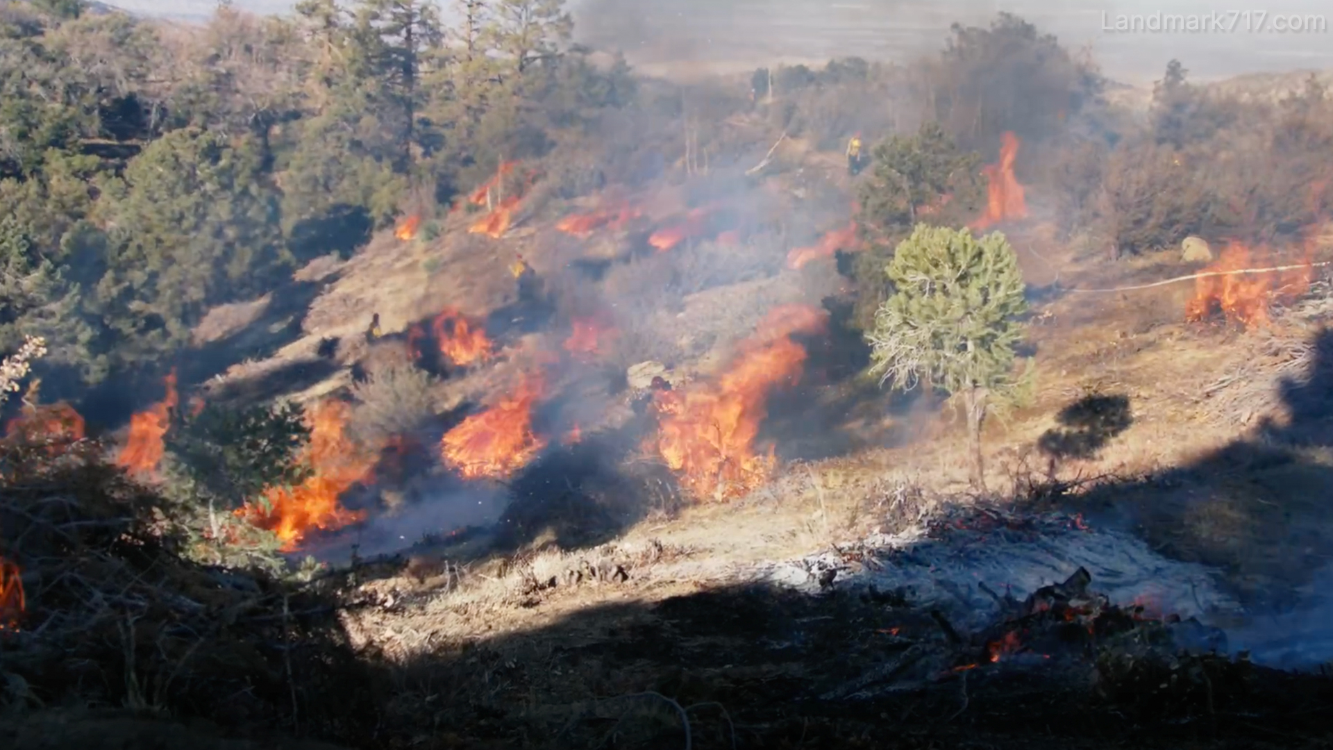 New Mini-Doc: Prescribed Fire
