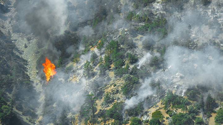 Angeles National Forest Fires